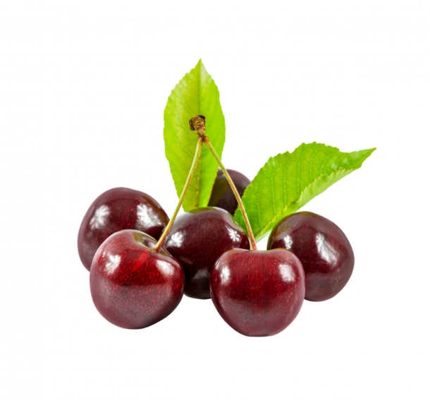 칠레 체리